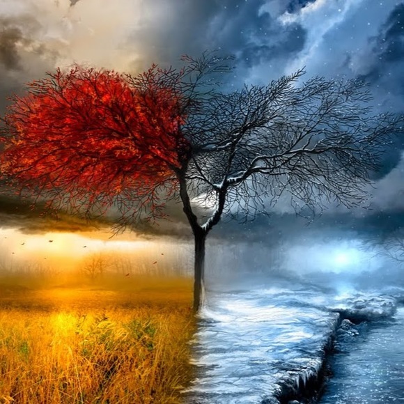 Meet your Posher, Cecilia - Picture 1 of 1